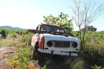 Achtergelaten Renault 4 van Angelique van 't Riet