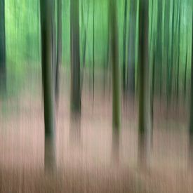 Trees in motion - spring 2018 - 3 by Danny Budts