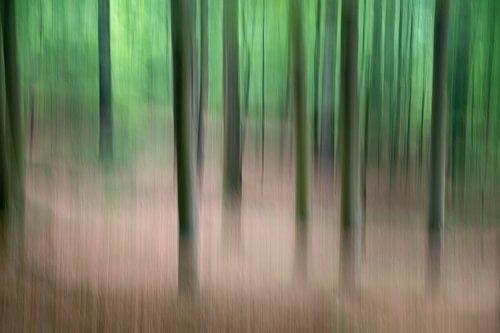 Trees in motion - spring 2018 - 3 by Danny Budts