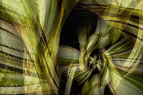 abstract natuur aan de muur