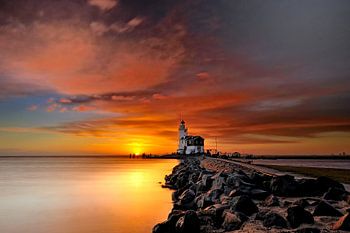 Pferd von Marken bei Sonnenaufgang