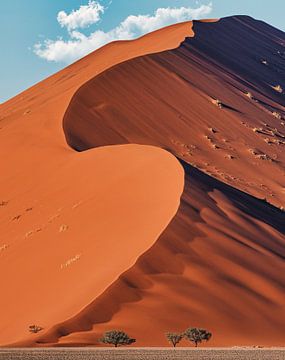 Leinwandbild Wüste am Mittag Panoramabild Kunstdrucke M0339 