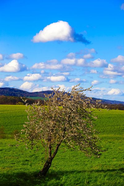 Mai in der schönen Oberlausitz von Thomas Jäger