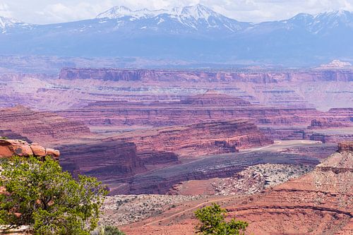 Uitzicht op Canyonlands National Park in Amerika