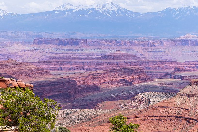 Ansichten des Canyonlands National Park in Amerika von Linda Schouw