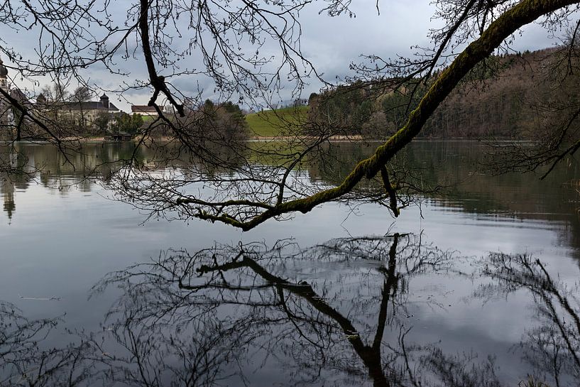 Tree branch  van Peter Oslanec