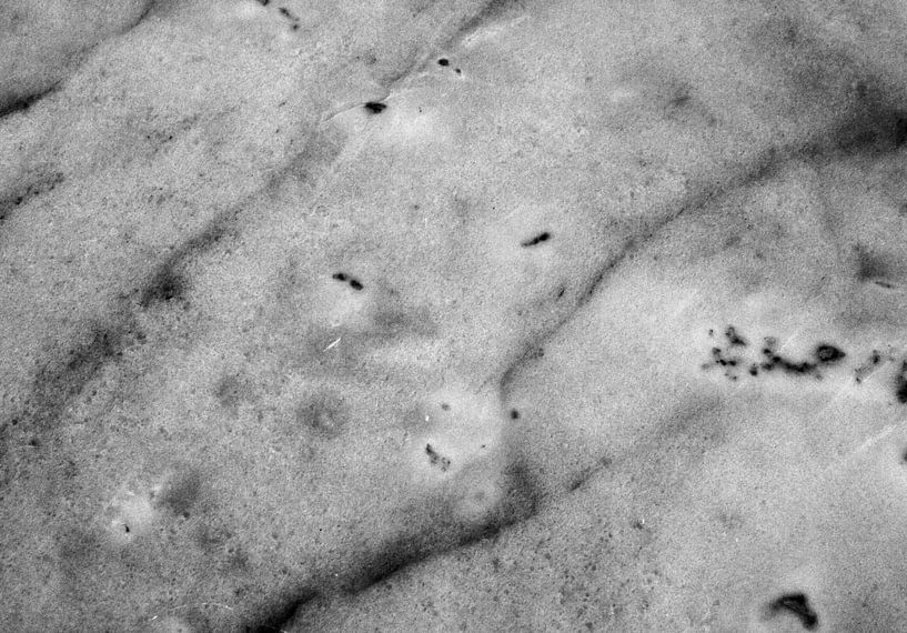 The Stone 2 by Sidney Graf