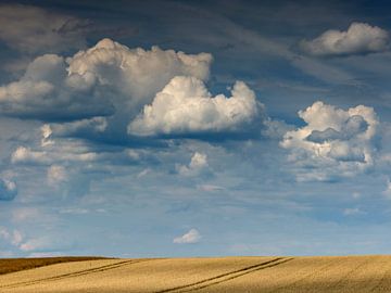 Wolkenstimmung über einem Getreidefeld von Andreas Müller