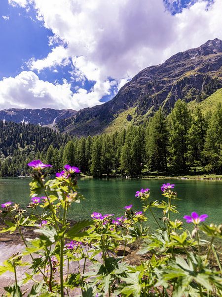 Lake Palpuogna at Albula Pass in Switzerland by Werner Dieterich
