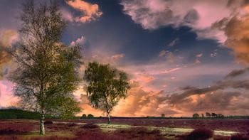 The evening atmosphere over the Dwingelderveld.