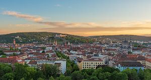 Blick über Würzburg von Robin Oelschlegel