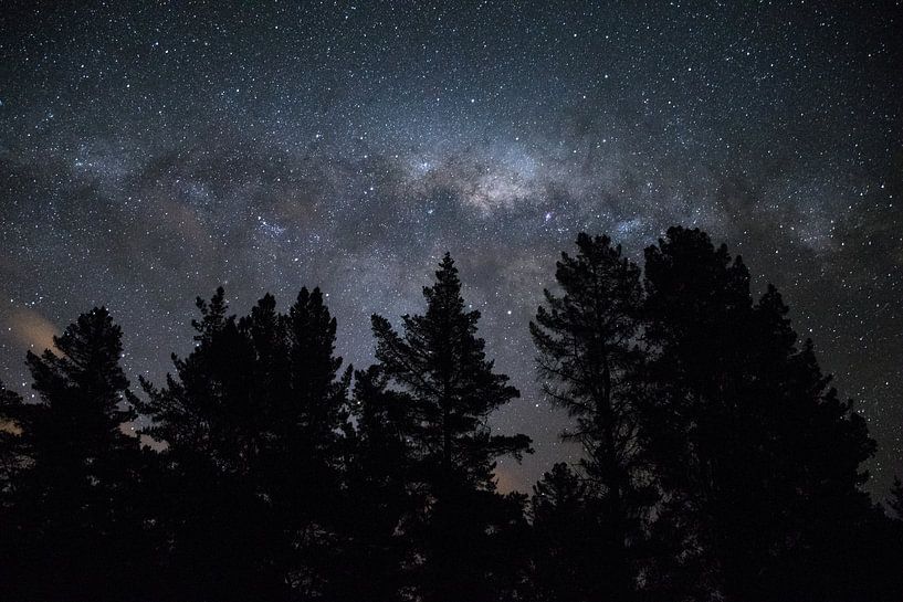 Albert Town Galaxy, New Zealand by Tom in 't Veld