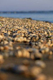 Baltic Sea at sunrise