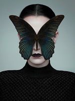 Black Butterfly