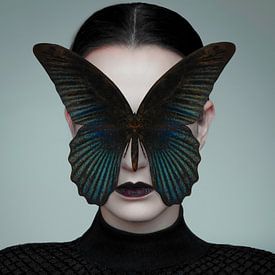 Schwarzer Schmetterling von José Lugtenberg