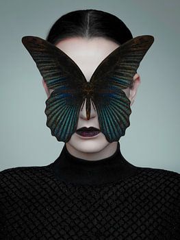 Black Butterfly