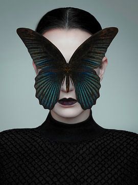 Schwarzer Schmetterling von José Lugtenberg