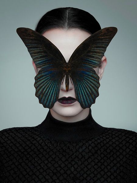 Black Butterfly by José Lugtenberg