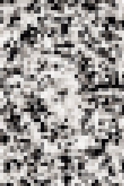 pixels carrés par pauline smale