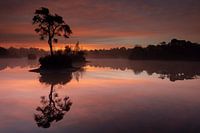 Sunrise in Oisterwijk