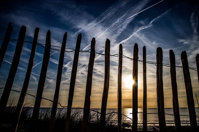 Silhouet Duinhekje by peterheinspictures