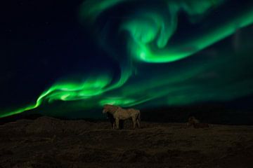 Aurora Borealis op IJsland, Noorderlicht van Gert Hilbink
