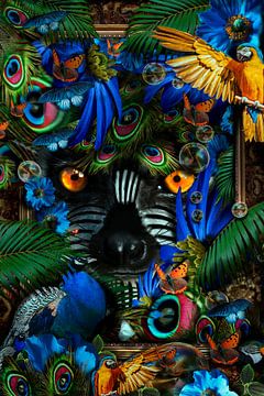 Une jungle colorée sur Foto Studio Labie