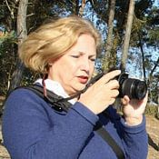 Ingrid Bergmann  Fotografie Profile picture