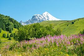 Blick auf die Georgischen Berggipfel und Gletscher von Leo Schindzielorz