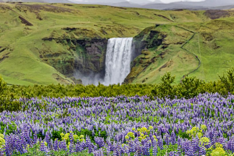 Skogafoss par Easycopters