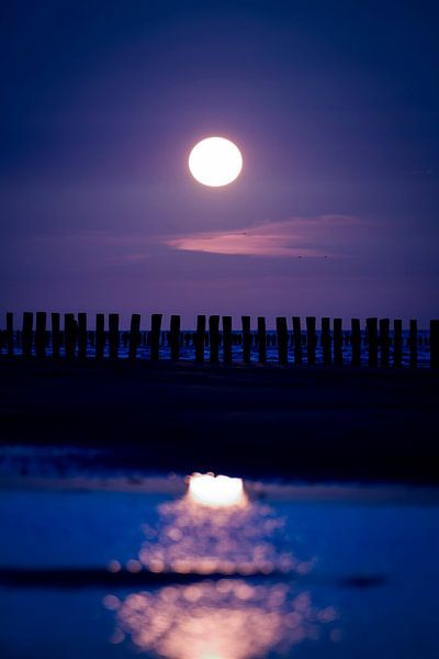 Full moon at the sea by Els Vercauteren