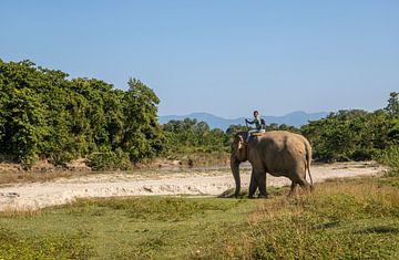 Un soldat chevauche un éléphant. sur Floyd Angenent