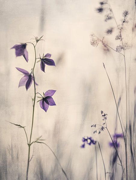 Fleurs violettes par Japandi Art Studio