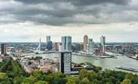 Skyline Rotterdam - Kop van Zuid van Mister Moret thumbnail
