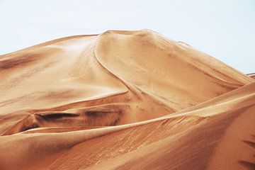 Hiking in the desert