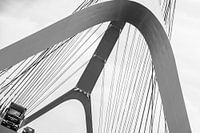 The Bridge