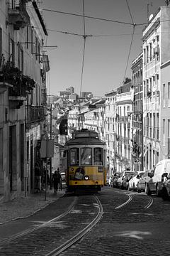Straßenbahn Lissabon von Humphry Jacobs
