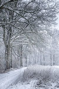 Winter in Twente