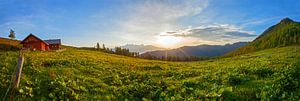 Frühlingspanorama auf der Lackenalm