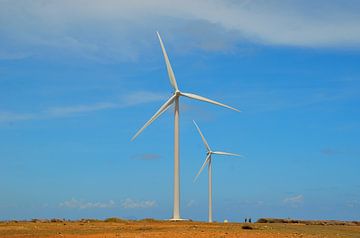 Windkraftanlagen in Curaçao von Karel Frielink
