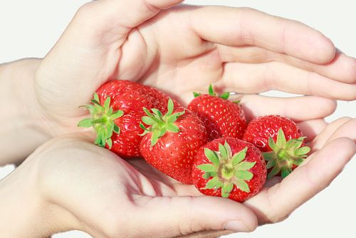 Een handvol rijpe mooie rode aardbeien