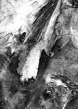 Nature's own life monochrome by Claudia Gründler