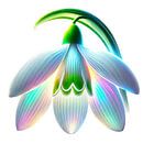 Snowdrop blossom by Eric Nagel thumbnail