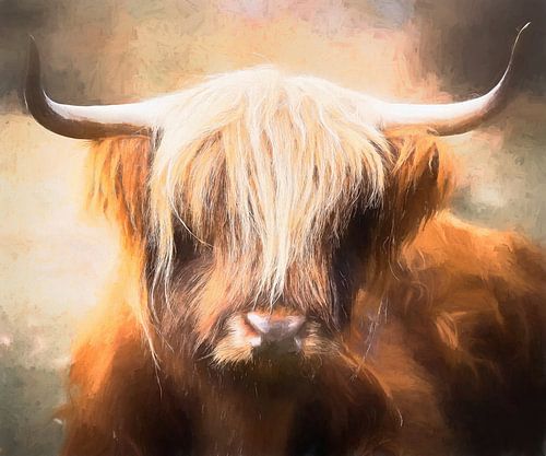 Schotse Hooglander op Mookerheide waterverf effect