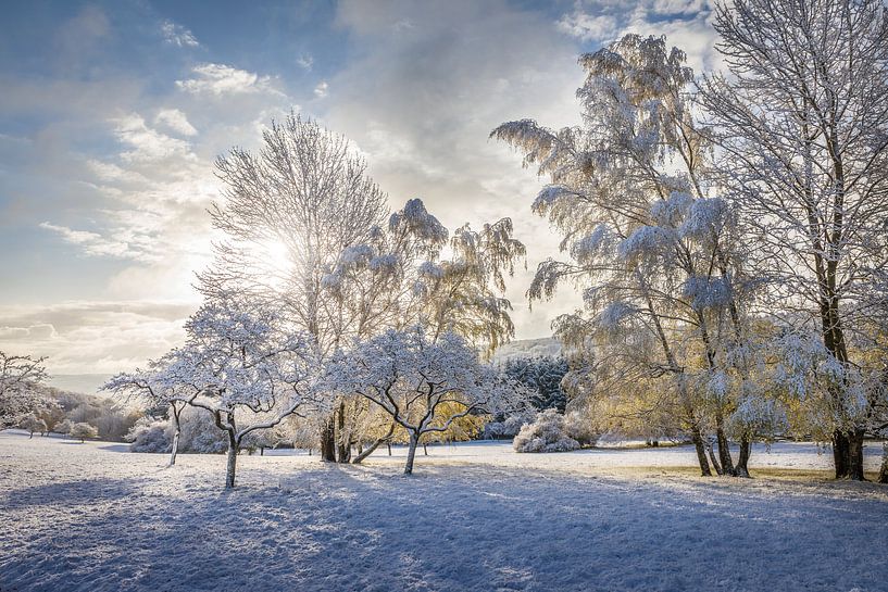 Später Schnee im April im Naturpark Rheingau-Taunus van Christian Müringer