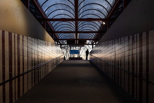 Tegenlicht in het station