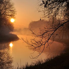 Misty rising sun van Robert Fischer