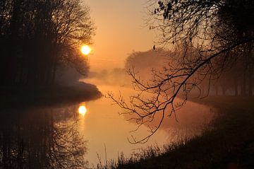 Neblige aufgehende Sonne von Robert Fischer