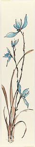 Spring I - Blue Orchid, Chris Paschke van Wild Apple