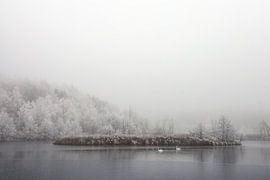 Paysage hivernal des lacs de Schwackenreut avec brouillard et givre sur BlattArt - Christine Horn